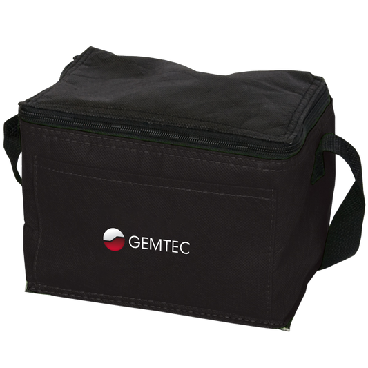 Non-Woven Cooler/Lunch Bag