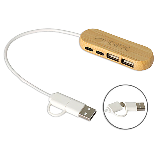 Dual Port Hub